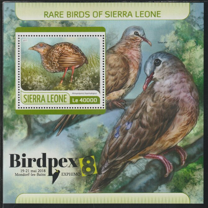 Sierra Leone 2017 Rare Birds perf deluxe sheet containing one value unmounted mint, stamps on birds