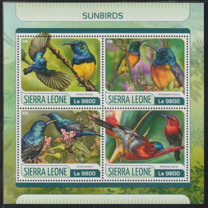 Sierra Leone 2017 Sun Birds perf sheetlet containing 4 values unmounted mint, stamps on birds, stamps on sunbirds