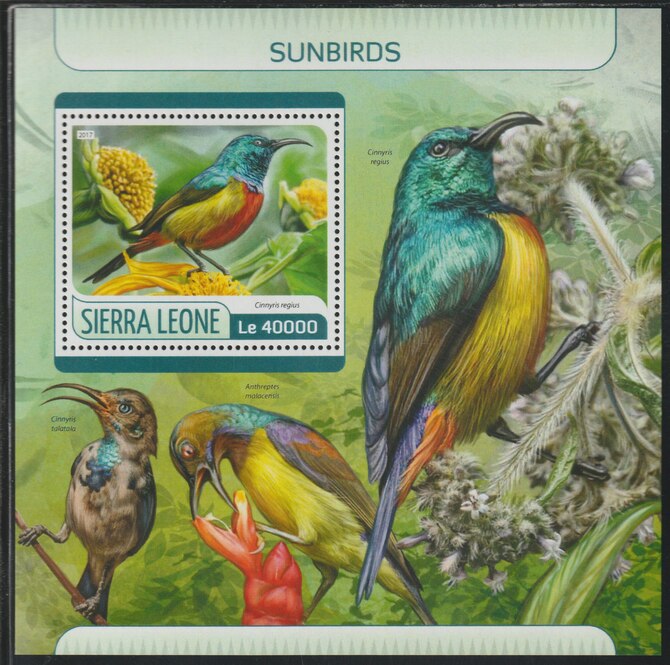 Sierra Leone 2017 Sun Birds perf deluxe sheet containing one value unmounted mint, stamps on , stamps on  stamps on birds, stamps on  stamps on sunbirds