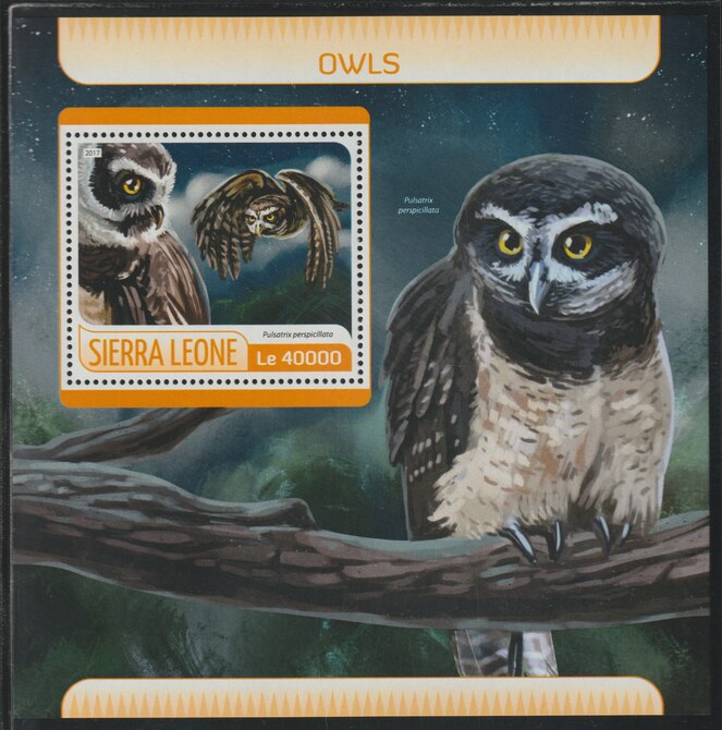 Sierra Leone 2017 Owls #2 perf deluxe sheet containing one value unmounted mint, stamps on , stamps on  stamps on birds, stamps on  stamps on birds of prey, stamps on  stamps on owls