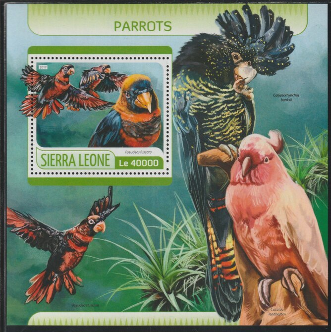 Sierra Leone 2017 Parrots perf deluxe sheet containing one value unmounted mint, stamps on birds, stamps on parrots