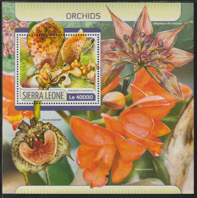 Sierra Leone 2017 Orchids #2 perf deluxe sheet containing one value unmounted mint, stamps on , stamps on  stamps on flowers, stamps on  stamps on orchids