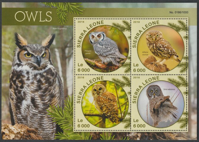 Sierra Leone 2016 Owls #3 perf sheetlet containing 4 values unmounted mint, stamps on birds, stamps on birds of prey, stamps on owls