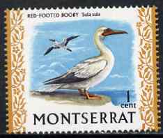 Montserrat 1970-74 Red Footed Booby 1c on chalky paper unmounted mint, SG 242, stamps on birds, stamps on 