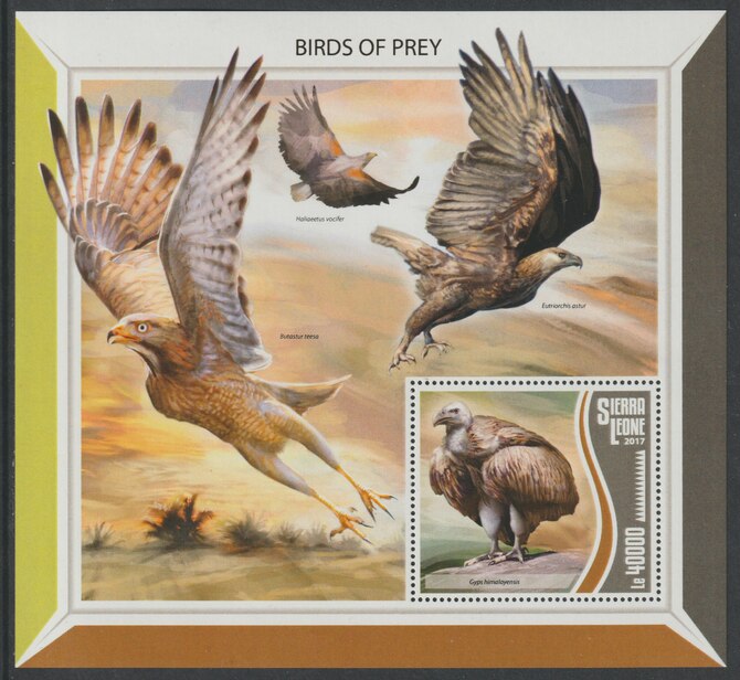 Sierra Leone 2017 Birds of Prey #2 large perf deluxe sheet containing one value unmounted mint, stamps on birds, stamps on birds of prey, stamps on 