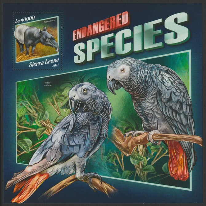 Sierra Leone 2017 Endangered Species large perf deluxe sheet containing one value unmounted mint, stamps on animals, stamps on birds, stamps on parrots