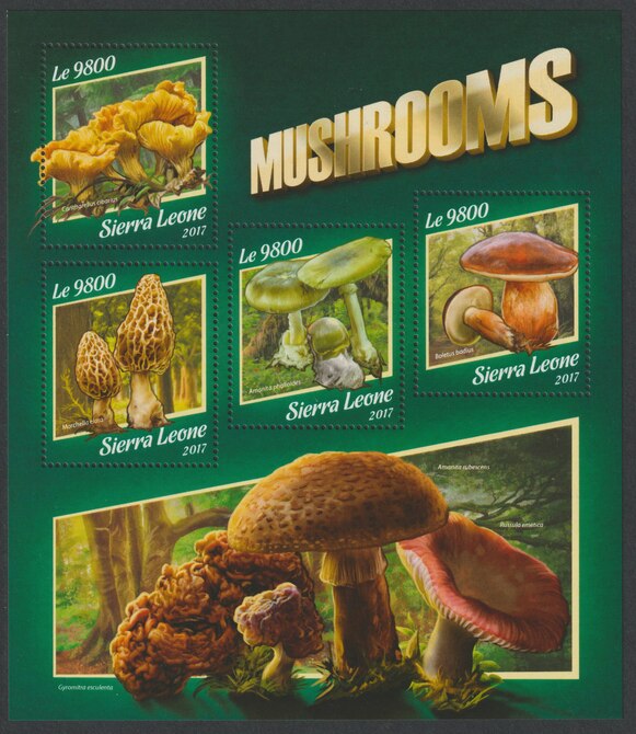 Sierra Leone 2017 Mushrooms #3 perf sheetlet containing 4 values unmounted mint, stamps on mushrooms, stamps on fungi