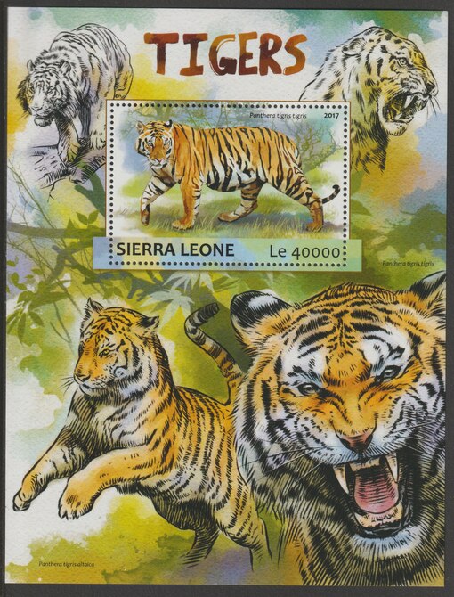 Sierra Leone 2017 Tigers perf deluxe sheet containing one value unmounted mint, stamps on cats, stamps on tigers