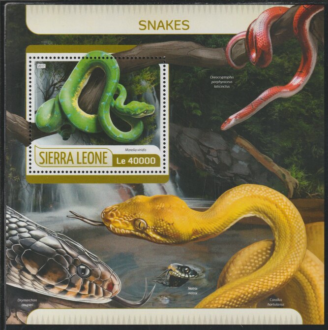 Sierra Leone 2017 Snakes perf deluxe sheet containing one value unmounted mint, stamps on reptiles, stamps on snakes