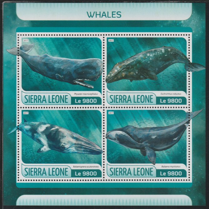 Sierra Leone 2017 Whales perf sheetlet containing 4 values unmounted mint, stamps on whales, stamps on marine life