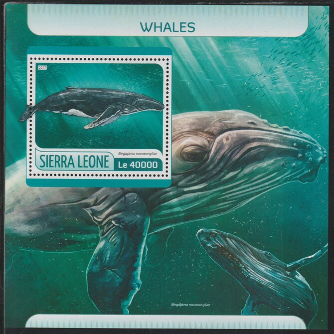 Sierra Leone 2017 Whales perf deluxe sheet containing one value unmounted mint, stamps on whales, stamps on marine life