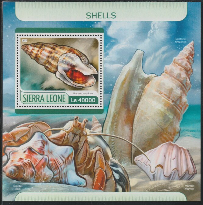 Sierra Leone 2017 Shells perf deluxe sheet containing one value unmounted mint, stamps on shells, stamps on marine life