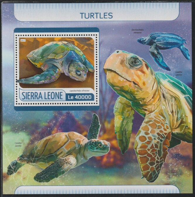 Sierra Leone 2017 Turtles #1 perf deluxe sheet containing one value unmounted mint, stamps on turtles, stamps on marine life