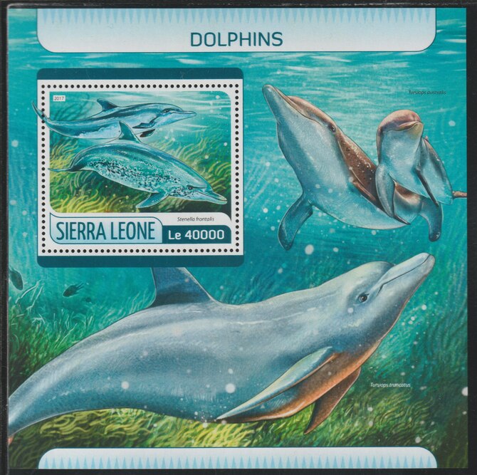 Sierra Leone 2017 Dolphins #1 perf deluxe sheet containing one value unmounted mint, stamps on dolphins, stamps on marine life