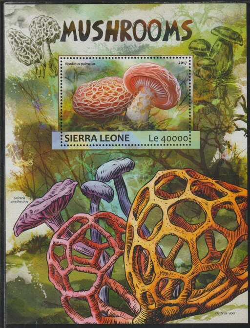 Sierra Leone 2017 Mushrooms #2 perf deluxe sheet containing one value unmounted mint, stamps on mushrooms, stamps on fungi