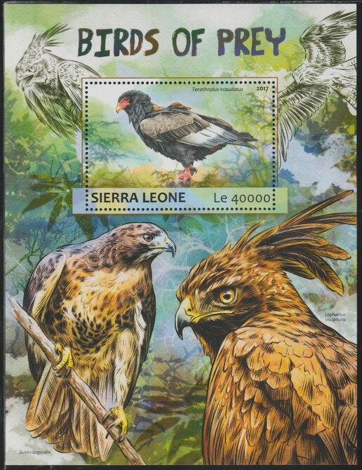 Sierra Leone 2017 Birds of Prey #1 perf deluxe sheet containing one value unmounted mint, stamps on birds, stamps on birds of prey, stamps on 