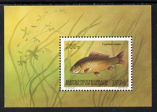 Kyrgyzstan 1994 Fish m/sheet (Carp) unmounted mint, stamps on , stamps on  stamps on fish     marine-life