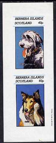 Bernera 1981 Dogs (Irish Wolfhound & Collie) imperf  set of 2 values (40p & 60p) unmounted mint, stamps on animals    dogs     wolfhound    collie